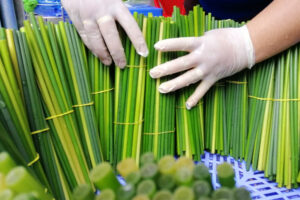 Thế Mạnh Của Ống Hút Cỏ 3 the-manh-cua-ong-hut-co
