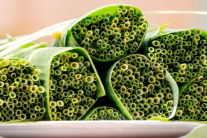 Mua Ống Hút Cỏ Bàng Tại Huế 3 mua-ong-hut-co-bang-tai-hue