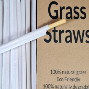 mua-ong-hut-co-bang-tphcm