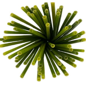 chien-luoc-marketing-ong-hut-co-bang-phan-2