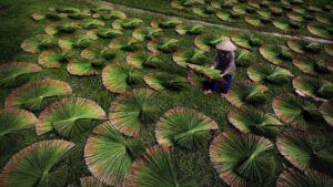 8 Bước Làm Ống Hút Cỏ 3 8-buoc-lam-ong-hut-co