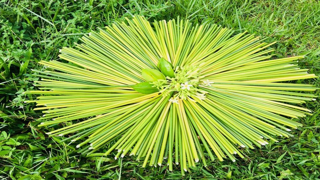mua-si-ong-hut-co-bang-tai-tphcm