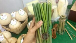 Ống Hút Cỏ Có An Toàn Không 2 ong-hut-co-co-an-toan-khong