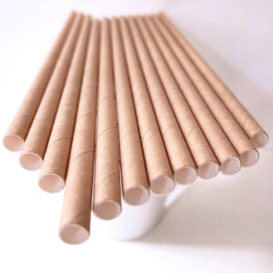 Đối Thủ Cạnh Tranh Của Ống Hút Cỏ Phần I 4 doi-thu-canh-tranh-cua-ong-hut-co-phan-1